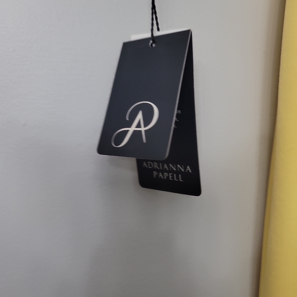 Adrianna Papell Knit Crepe Tie Waist Sheath Dress - Picture 9 of 12